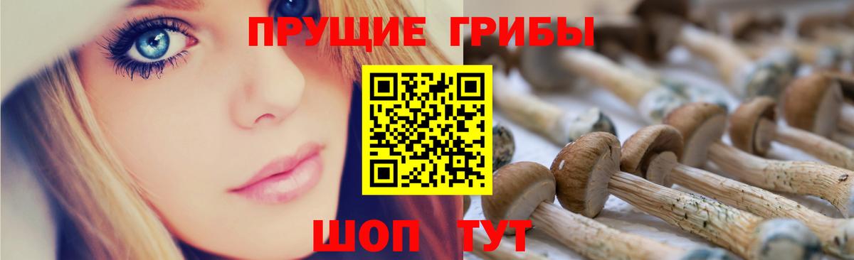 Псилоцибиновые грибы мицелий Клинцы